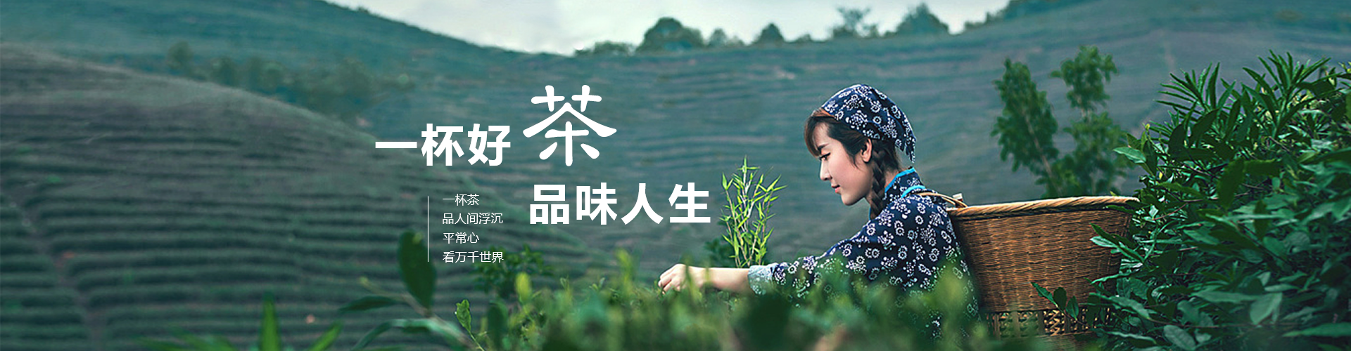 首页banner1