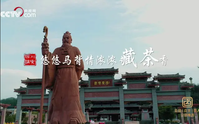 姜家大院采访精剪